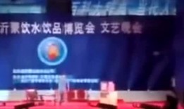 东北人郑州爆料视频,揭秘中原城市里的东北风情