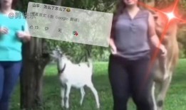 搞笑爆料网友视频大全,笑料百出！网友搞笑爆料视频大盘点